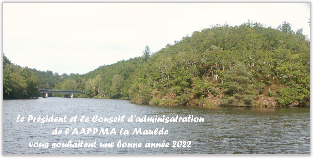 carte_voeux_2022.png